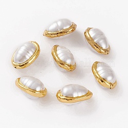 Perles en coquillage naturel, avec bord en laiton doré, larme, 25~26x18~18.5x15~15.5mm, Trou: 0.8mm