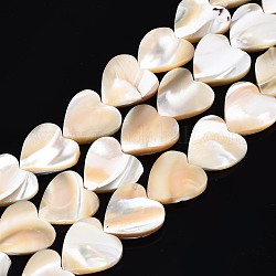 Fili di perline trochid naturali / trochus, cuore, 12~13x12x2.5~4mm, Foro: 0.5 mm, circa 35pcs/filo, 15.55 pollice ~ 15.94 pollici (39.5~40.5 cm)