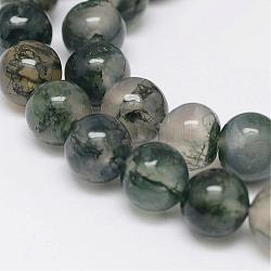Chapelets de perles en agate mousse naturelle, ronde, vert de mer, 8mm, Trou: 1mm, Environ 48 pcs/chapelet, 15.5 pouce