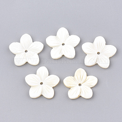 Perline di guscio, fiore, bianco, 22~23x23~24x3~3.5mm, Foro: 2 mm