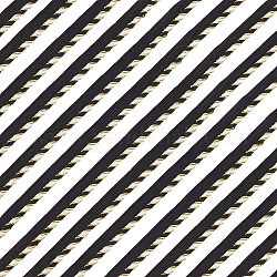 Benecreat 12.5 yarda de cinta de poliéster, borde simple con franja diagonal, para accesorios de ropa, negro, 1/2 pulgada (11.5 mm)