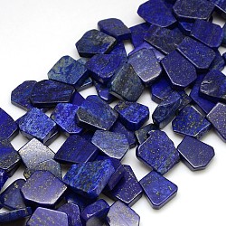 Pietra preziosa naturale perline lapis lazuli fili, poligono, 10~25x10~25x5~7mm, Foro: 1 mm, circa 28~30pcs/filo, 15.74 pollice