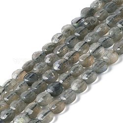 Chapelets de perles en labradorite naturelle , facette, plat rond, grade AAA, 5~5.5x3mm, Trou: 0.9mm, Environ 79 pcs/chapelet, 15.35'' (39 cm)
