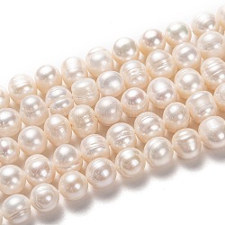 Fili di perle di perle d'acqua dolce coltivate naturali, patata, bisque, 10~11x11~12mm, Foro: 0.8 mm, circa 34pcs/filo, 14.17 pollici (36 cm)