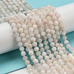 Brins de perles de pierre de lune arc-en-ciel naturel, facette, ronde, 4.5mm, Trou: 0.7mm, Environ 88~89 pcs/chapelet, 14.96~15.08'' (38~38.2 cm)