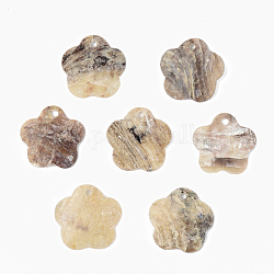 Pendentifs coquillage akoya naturel, pendentifs coquille en nacre, fleur, chameau, 15x15.5x1mm, Trou: 1.2mm