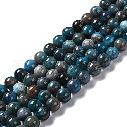 Natural Apatite Beads Strands, Round, 10mm, Hole: 1mm, about 38~40pcs/strand, 15.35''(39cm)