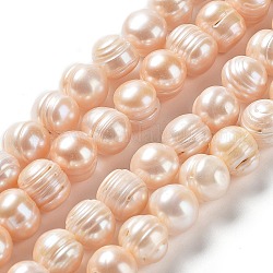 Natural Cultured Freshwater Pearl Beads Strands, Potato, Grade A, PeachPuff, 10~12x10~11mm, Hole: 0.6mm, about 35pcs/strand, 14.37''(36.5cm)