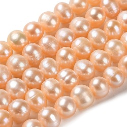 Fili di perle di perle d'acqua dolce coltivate naturali, patata, grado 3a+, sabbia marrone, 7~8x6.5~7.5mm, Foro: 0.5 mm, circa 59pcs/filo, 15.55 pollice (39.5 cm)