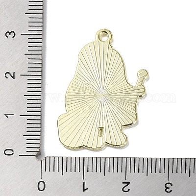 Сплав цинка кулон&nbsp;ENAM-Z009-01B-LG-1