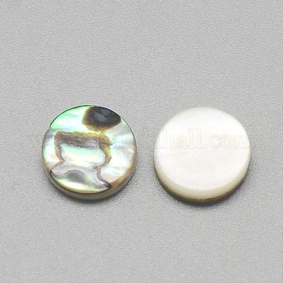 Пауа оболочке кабошонов SSHEL-R042-21-1