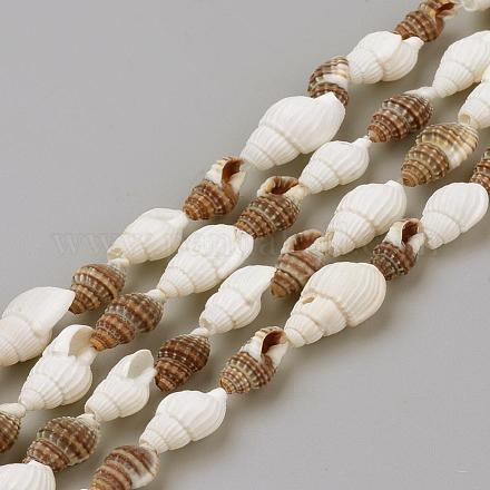 Natural Sea Shell Beads Strands SSHEL-R043-06-1