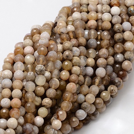 Faceted Round Natural Ocean Fossil Agate Bead Strands G-L437-04-8mm-1