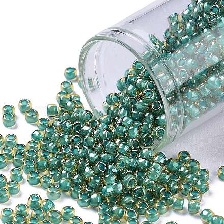 Toho perles de rocaille rondes X-SEED-TR08-0953-1