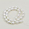 Shell Pearl Beads Strands, Drop, Dyed, WhiteSmoke, 15~16.5x12~13.5mm, Hole: 1mm, about 25pcs/strand, 15.7 inch(39.8cm)