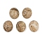 Natural Picture Jasper Cabochons, Oval, 12x10x5mm