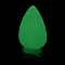 Luminous Resin Display Decorations, Home Decorations, Glow in the Dark, Carrot, 30x16x13.5mm