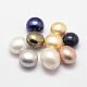 Mixed Shell Pearl Beads BSHE-P008-03B-2