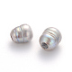 Grade B Natural Cultured Freshwater Pearl Beads PEAR-P001-3-1