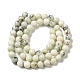 Chapelets de perles de jaspe dendritique naturelle G-H298-A15-02-3