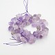 Natural Amethyst Nuggets Bead Strands G-A139-A03-2