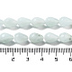 Natur Amazonit Perlen Stränge G-P520-B10-01-5