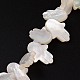 Perles en coquillage naturel BSHE-O015-21-1