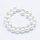 Electroplate Shell Pearl Beads Strands BSHE-G009-A-02-2