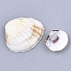 Clam Shell Beads SSHEL-S258-51-2