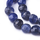 Natural Sodalite Beads Strands G-E538-09B-1