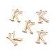 304 Stainless Steel Charms STAS-K215-05G-1
