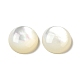 Cabuchones de conchas blancas naturales SSHEL-M022-01D-1