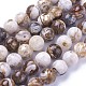 Natural America Petrified Wood Beads Strands G-P430-08-E-2