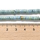 Chapelets de perles en turquoise naturelle G-M422-C01-01-5
