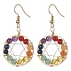 Natural Mixed Gemstone Round Beaded Dangle Earrings EJEW-JE05456-01-1