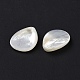 Perles de coquillage blanc naturel SSHEL-C011-06-4
