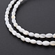 Eau douce naturelle de coquillage perles brins SHEL-N027-08A-4