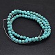 Natural Howlite Beads Strands TURQ-P027-8mm-18A-2