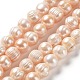 Natural Cultured Freshwater Pearl Beads Strands PEAR-E019-15-1