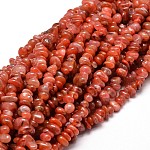 Brins de perles de cornaline naturelles teints, 5~14x4~10mm, Trou: 1mm, environ 15.5 pouce ~ 16.1 pouces