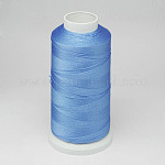 Nylon Thread, For Tassel Making, Sky Blue, 0.3mm, about 1093.61 yards(1000m)/roll