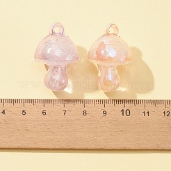 Прозрачные акриловые подвески&nbsp;MACR-FS0001-54