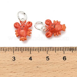 Подвески из эмали и сплава&nbsp;ENAM-I080-04S-04