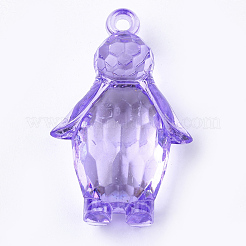 Прозрачные акриловые подвески&nbsp;TACR-S149-03