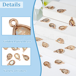 16 шт. подвески из натуральной ракушки пауа&nbsp;SHEL-BC0001-030