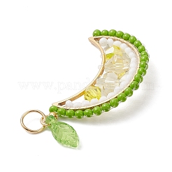 Круглые стеклянные бусины в виде фруктов&nbsp;PALLOY-MZ00864-03