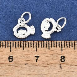 925 подвеска в виде рыбки из стерлингового серебра&nbsp;STER-A049-01B-S