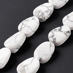 Fili di perline howlite naturale&nbsp;G-M208-13