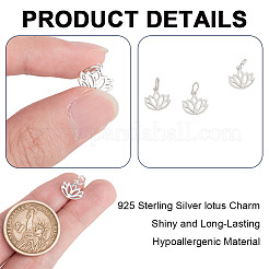6 Stück hohle 925 Sterling Silber Charms&nbsp;STER-DR0001-35