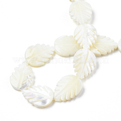 Нити бусин из натуральных трохоидных/трохус ракушек SSHEL-N034-136B-01